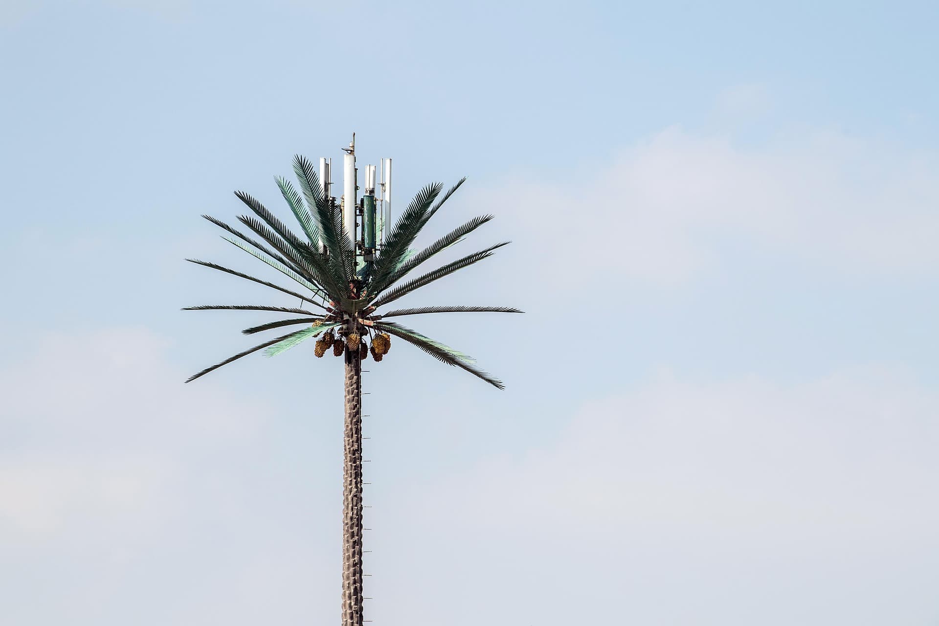 Telecom